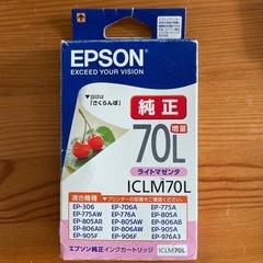 EPSONインク　⚠️
説明文必ずお読み下さいの画像
