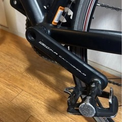 デローザ フェデ ロードの画像