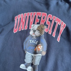 裏起毛のスウェット
の画像