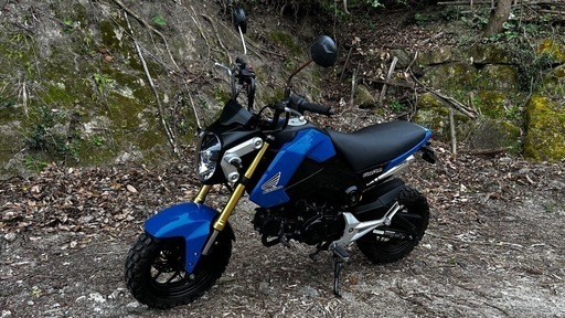ホンダ　グロム  (JC61)　整備済み