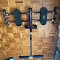 レッグマジックX／ショップジャパン レックマジックエックスの画像