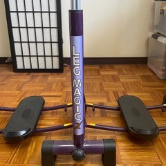 レッグマジックX／ショップジャパン レックマジックエックスの画像