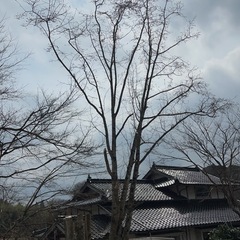 作業員募集中！の画像