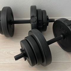 ダンベル10kgの中古が安い！激安で譲ります・無料であげます