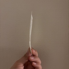 ミッキー17 ムビチケ　未使用の画像