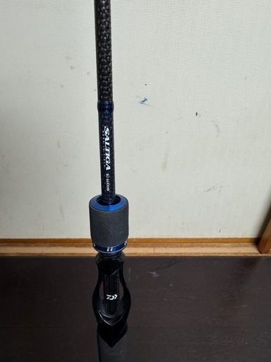 Daiwaソルティガbj66XXHB