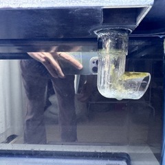 (決まりました)GEX 水槽セット 60cm の画像