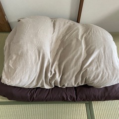 ニトリ 羽毛合い掛けふとん ダブルサイズ (やま) 白山の寝具 ニトリ 羽毛合い掛けふとん ダブルサイズ (やま) 白山の寝具
