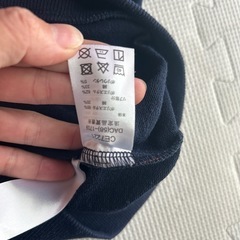 チャンピオントレーナー120
の画像