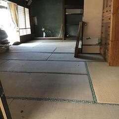 畳