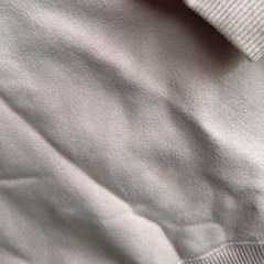 ピンクトレーナー120ラッパの画像