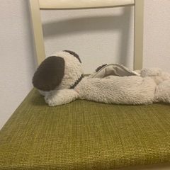 スヌーピー筆箱の画像