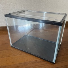飼育ケース　水槽