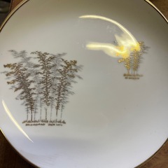 食器の画像