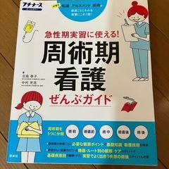 看護師本2