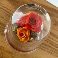 🌹未使用です🌹