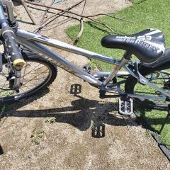 22インチの子供用自転車
