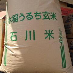 ②コシヒカリ 玄米 30kg  令和６年収穫 未精米渡し