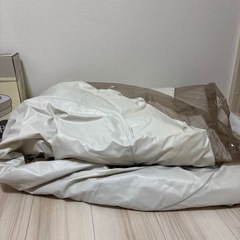 ビニールプール ベージュの画像