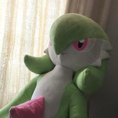等身大サーナイトぬいぐるみ欲しい方にお譲り致します！ () 札幌の