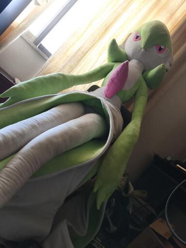 等身大サーナイトぬいぐるみ欲しい方にお譲り致します！ () 札幌の