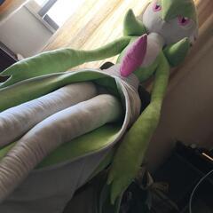 ぬいぐるみ 等身大サーナイト : ポケモンセンターオンライン