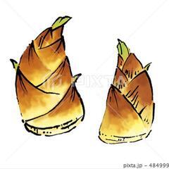たけのこ2本の画像
