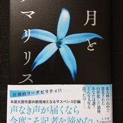 月とアマリリス(新刊です)