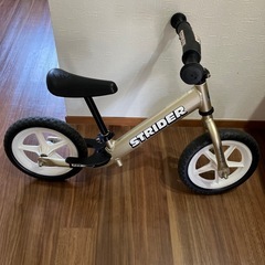 ストライダープロ 10周年記念 限定モデル シャンパンゴールド　スポーツモデルの画像