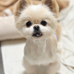 里親様決定♡えるくんおめでとう！ - 高松市