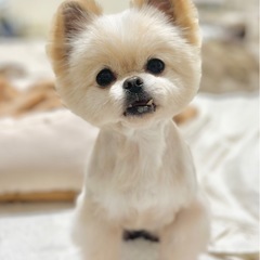 里親様決定♡えるくんおめでとう！ - 犬