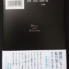 月とアマリリス(綺麗な中古です)の画像