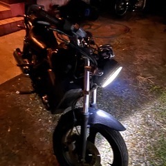 エリミネーター250seの画像