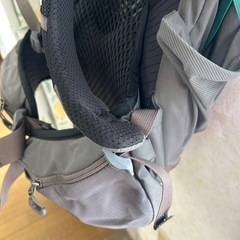 グレゴリー　ジェイド33の画像