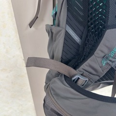 グレゴリー　ジェイド33の画像