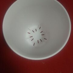 ダイソー 植木鉢 白色の画像