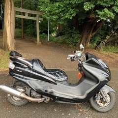 【商談中】SG03J マジェスティ250 バッテリー上がり中　現状車の画像