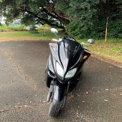 【商談中】SG03J マジェスティ250 バッテリー上がり中　現状車の画像