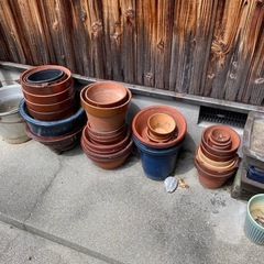 植木鉢　大量の画像