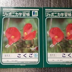 未使用！ジャポニカ学習帳　国語　10マス2冊セット