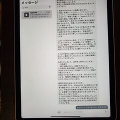 Apple iPad Air 第5世代 256G 美品 バッテリー92%