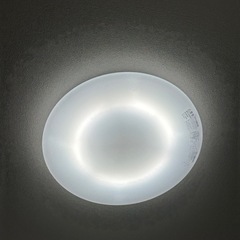【4月12日まで】LEDシーリングライト(調光可能)