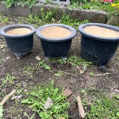 蘭鉢　10個で400円　何個からでもお売りします　鉢　花　ガーデニング　陶器の画像
