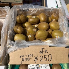 ゼスプリのゴールドキウイ特大サイズ入荷しました！✨