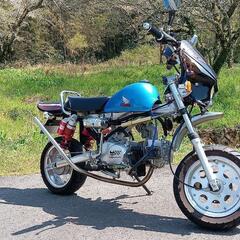 実動車モンキー風カスタム車中華