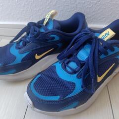 NIKE　エアマックス　23cmの画像