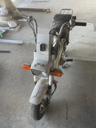 角目シャリー6V