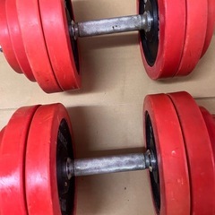ラバーダンベル 40KG 片手20KG×2個セット /IROTEC