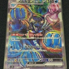 ★イルカマンex  SAR   SET◻︎ポケモンカード、 ポケモンカードデザインクリアファイル　の画像