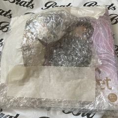 胡蝶しのぶQPOSKETカラーBの画像